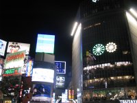 IMG_3478.JPG